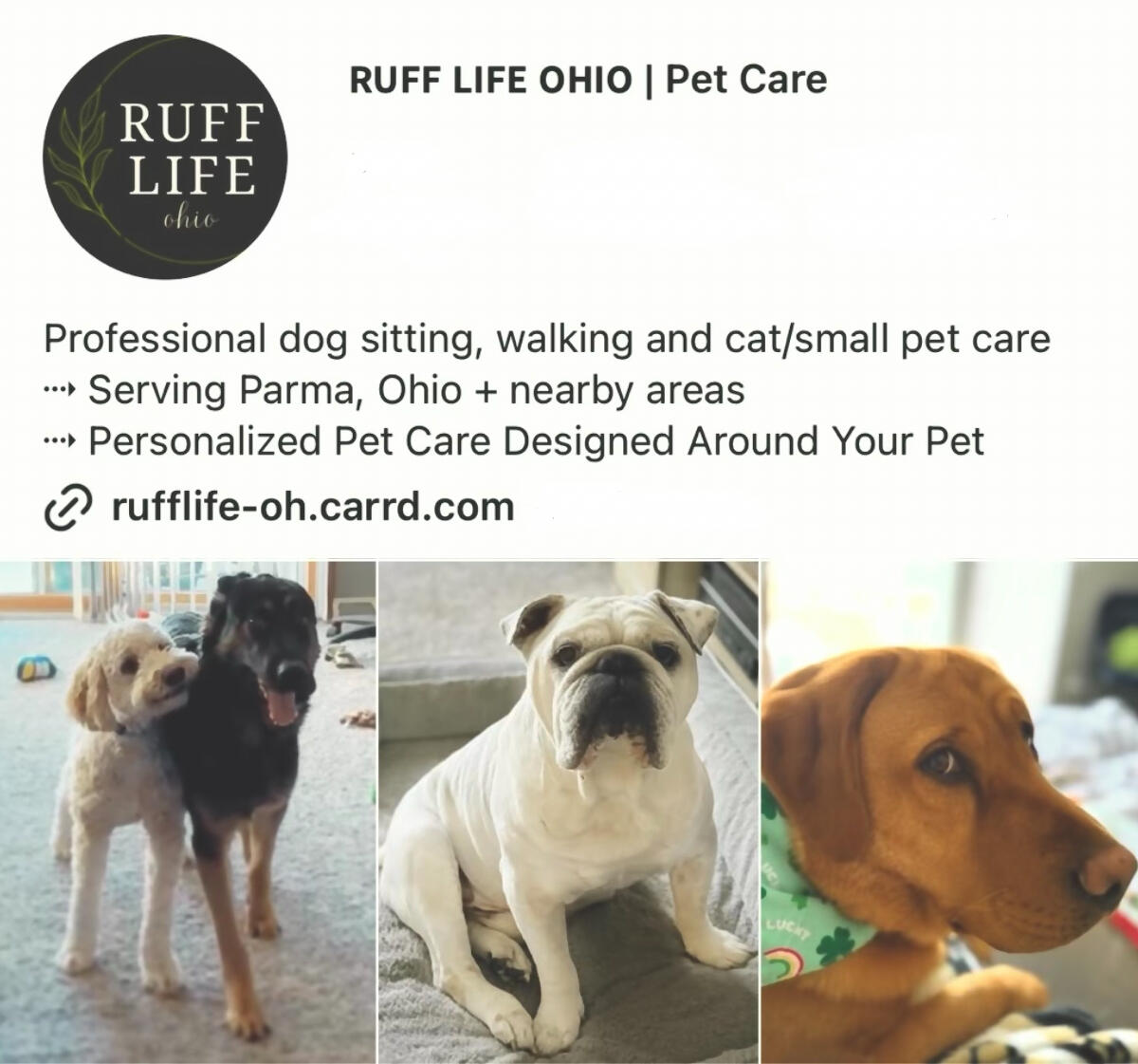 RUFF LIFE Ohio Instagram profile showing pet care services, dogs, and company branding.